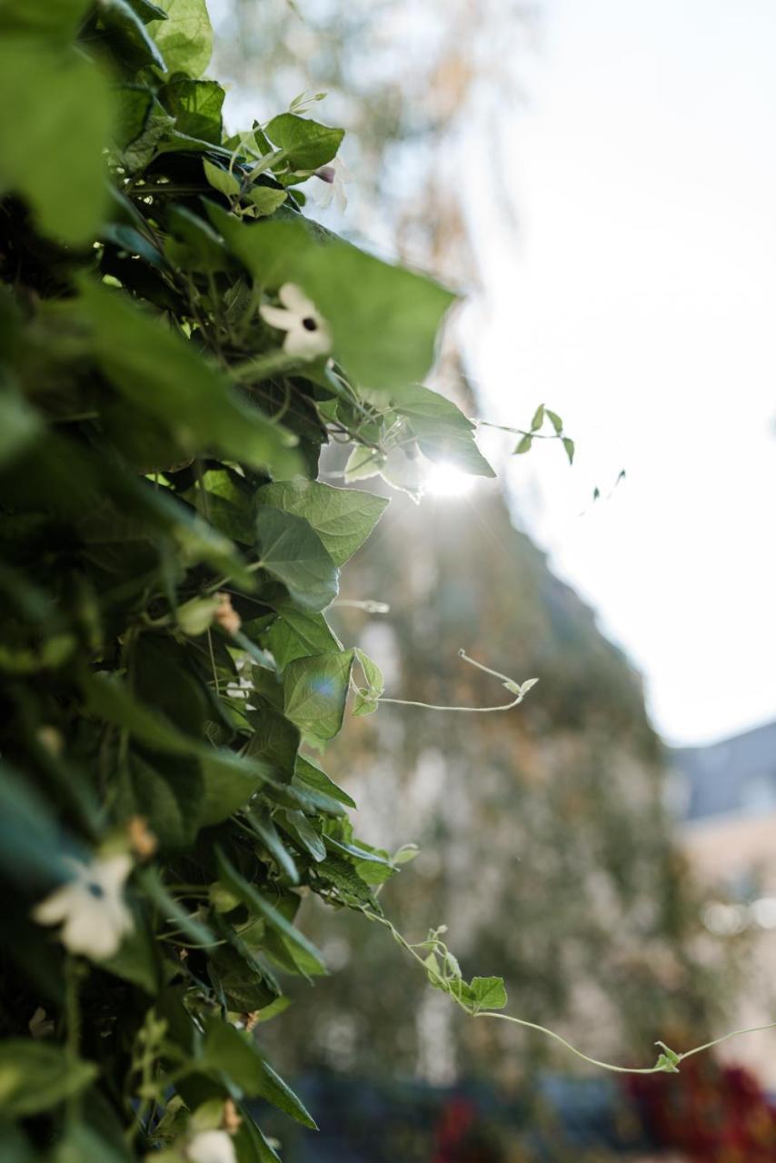 Sommers Hotel Altes Posteck ライヒェンバッハ・イム・フォークトラント エクステリア 写真